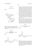 PROTEIN-POLYMER-DRUG CONJUGATES diagram and image