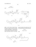 PROTEIN-POLYMER-DRUG CONJUGATES diagram and image