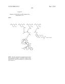 PROTEIN-POLYMER-DRUG CONJUGATES diagram and image