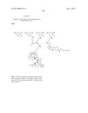 PROTEIN-POLYMER-DRUG CONJUGATES diagram and image