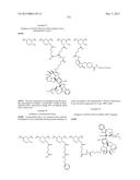 PROTEIN-POLYMER-DRUG CONJUGATES diagram and image