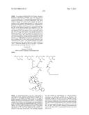 PROTEIN-POLYMER-DRUG CONJUGATES diagram and image