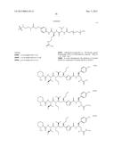 PROTEIN-POLYMER-DRUG CONJUGATES diagram and image