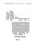 REGENERATIVE SERA CELLS AND MESENCHYMAL STEM CELLS diagram and image