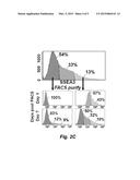 REGENERATIVE SERA CELLS AND MESENCHYMAL STEM CELLS diagram and image