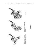 HUMANIZED ANTI-IL 10 ANTIBODIES FOR THE TREATMENT OF SYSTEMIC LUPUS     ERYTHEMATOSUS (SLE) diagram and image