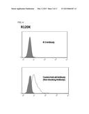 FIBROSIS SUPPRESSION BY INHIBITING INTEGRIN ALPHA-8 BETA-1 FUNCTION diagram and image