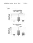 FIBROSIS SUPPRESSION BY INHIBITING INTEGRIN ALPHA-8 BETA-1 FUNCTION diagram and image