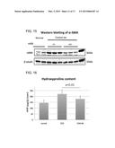 FIBROSIS SUPPRESSION BY INHIBITING INTEGRIN ALPHA-8 BETA-1 FUNCTION diagram and image