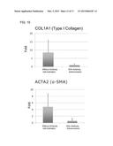 FIBROSIS SUPPRESSION BY INHIBITING INTEGRIN ALPHA-8 BETA-1 FUNCTION diagram and image