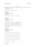 Method of Treating Cancer with DLL4 Antagonist and Chemotherapeutic Agent diagram and image