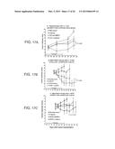 CANCER THERAPY USING BETA GLUCAN AND ANTIBODIES diagram and image