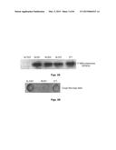 THERAPEUTIC DELIVERY AND EXPRESSION SYSTEM, METHODS AND USES THEREOF diagram and image