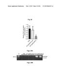 THERAPEUTIC DELIVERY AND EXPRESSION SYSTEM, METHODS AND USES THEREOF diagram and image