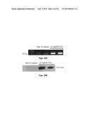 THERAPEUTIC DELIVERY AND EXPRESSION SYSTEM, METHODS AND USES THEREOF diagram and image