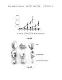 THERAPEUTIC DELIVERY AND EXPRESSION SYSTEM, METHODS AND USES THEREOF diagram and image