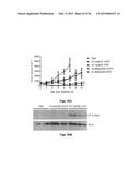 THERAPEUTIC DELIVERY AND EXPRESSION SYSTEM, METHODS AND USES THEREOF diagram and image