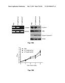 THERAPEUTIC DELIVERY AND EXPRESSION SYSTEM, METHODS AND USES THEREOF diagram and image