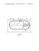 Delivery of Functionalized Particles diagram and image