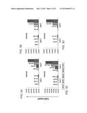 Mesenchymal Stem Cells Conditioned Medium and Methods of Generating and     Using the Same diagram and image