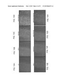 Mesenchymal Stem Cells Conditioned Medium and Methods of Generating and     Using the Same diagram and image