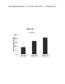 Mesenchymal Stem Cells Conditioned Medium and Methods of Generating and     Using the Same diagram and image