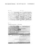 PRODUCTION METHOD OF ZEOLITE FILM IN WHICH ONE AXIS IS COMPLETELY     VERTICALLY ORIENTED, USING STEAM UNDER SYNTHETIC GEL-FREE CONDITION diagram and image