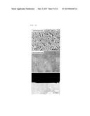 PRODUCTION METHOD OF ZEOLITE FILM IN WHICH ONE AXIS IS COMPLETELY     VERTICALLY ORIENTED, USING STEAM UNDER SYNTHETIC GEL-FREE CONDITION diagram and image