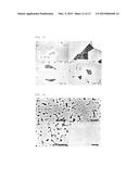 PRODUCTION METHOD OF ZEOLITE FILM IN WHICH ONE AXIS IS COMPLETELY     VERTICALLY ORIENTED, USING STEAM UNDER SYNTHETIC GEL-FREE CONDITION diagram and image