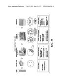 RAPID ANTIBIOTIC SUSCEPTIBILITY TESTING diagram and image