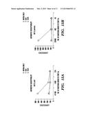 RAPID ANTIBIOTIC SUSCEPTIBILITY TESTING diagram and image