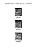 Molecular Diagnostics System and Methods diagram and image