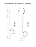 Molecular Diagnostics System and Methods diagram and image