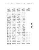 NOVEL 2,5-DIKETO-L-GLUCONIC ACID REDUCTASES AND METHODS OF USE diagram and image