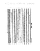 NOVEL 2,5-DIKETO-L-GLUCONIC ACID REDUCTASES AND METHODS OF USE diagram and image