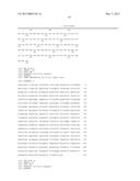 NOVEL 2,5-DIKETO-L-GLUCONIC ACID REDUCTASES AND METHODS OF USE diagram and image