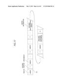 SPECIMEN PROCESSING APPARATUS diagram and image