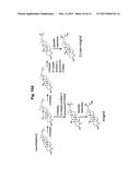 Methods and Materials for Biosynthesis of Mogroside Compounds diagram and image