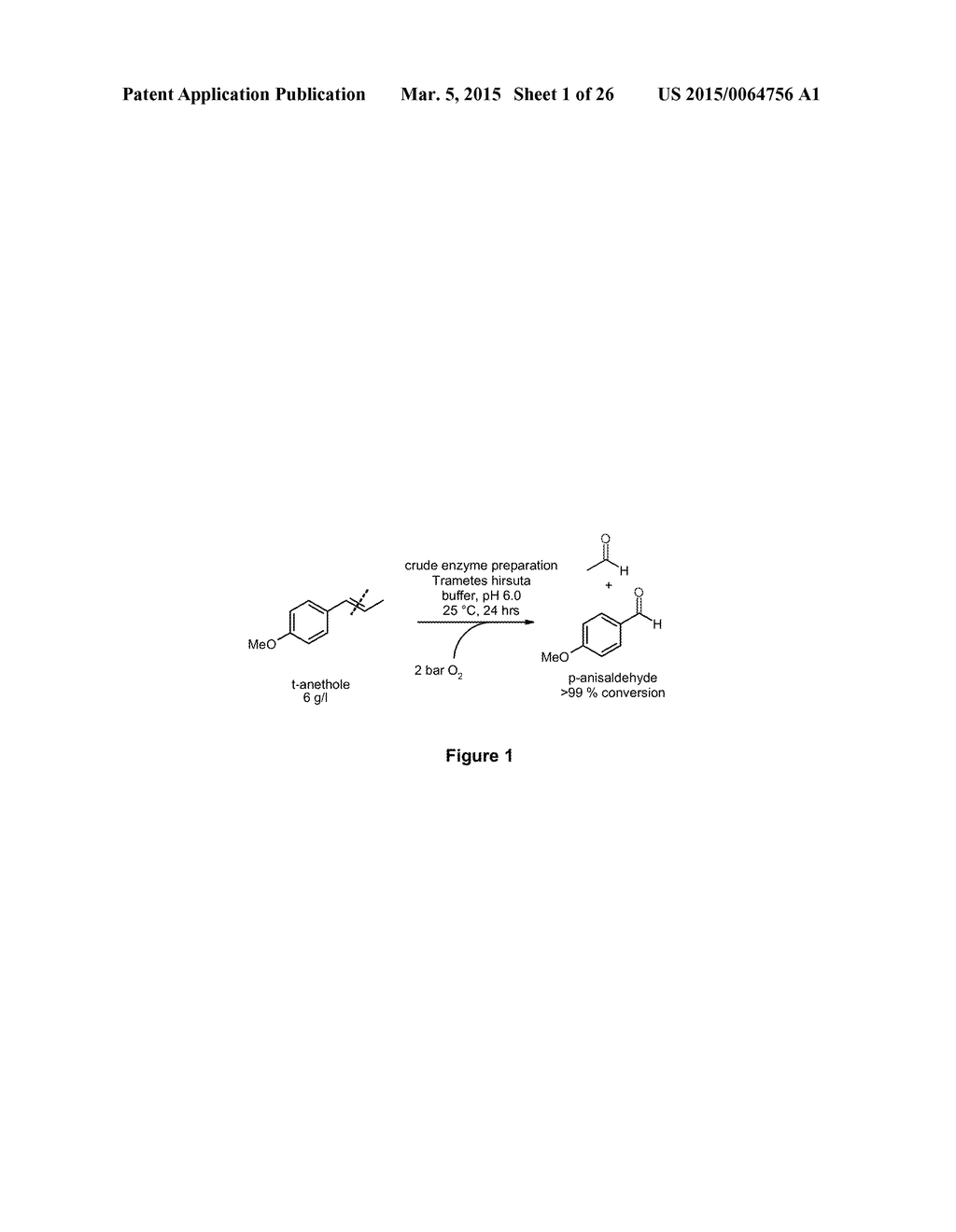 ENZYMATIC ALKENE CLEAVAGE - diagram, schematic, and image 02