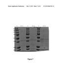 ENZYMATIC ALKENE CLEAVAGE diagram and image