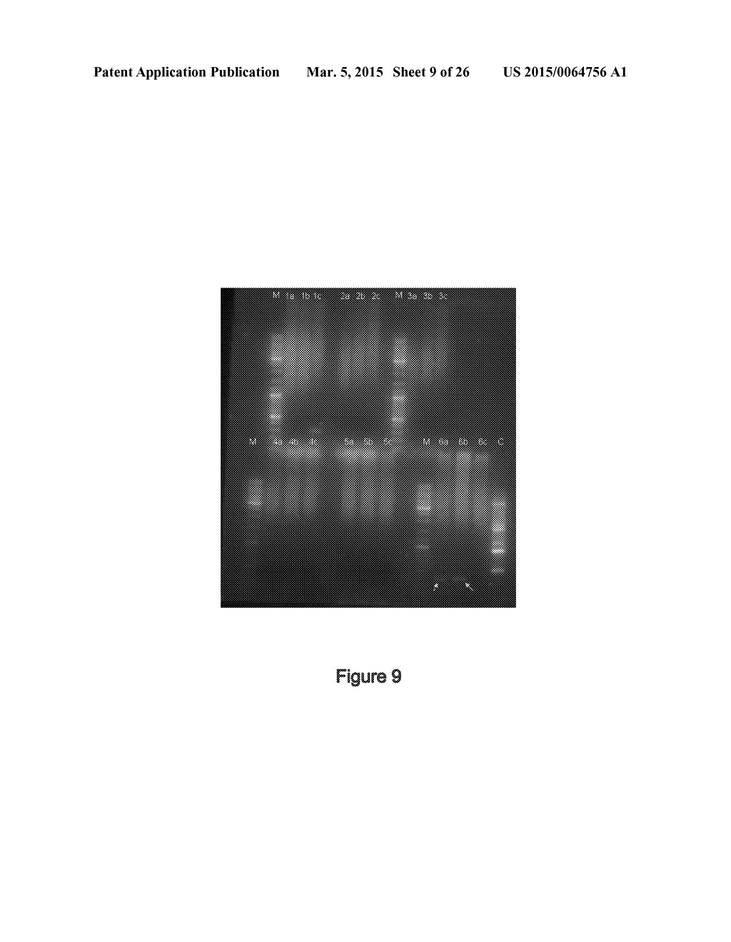 ENZYMATIC ALKENE CLEAVAGE - diagram, schematic, and image 10