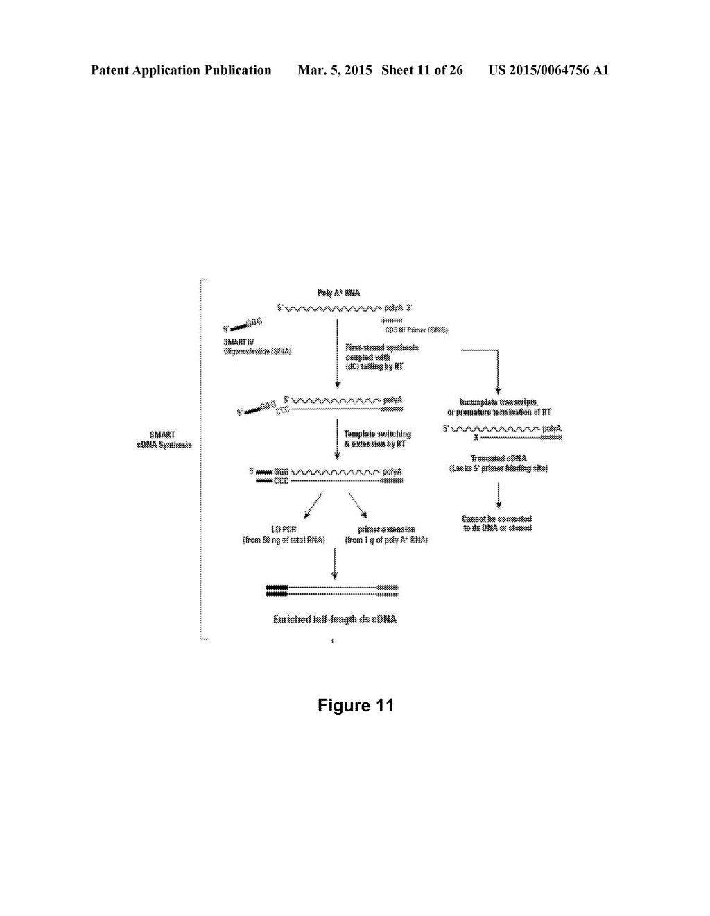 ENZYMATIC ALKENE CLEAVAGE - diagram, schematic, and image 12