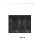 ENZYMATIC ALKENE CLEAVAGE diagram and image