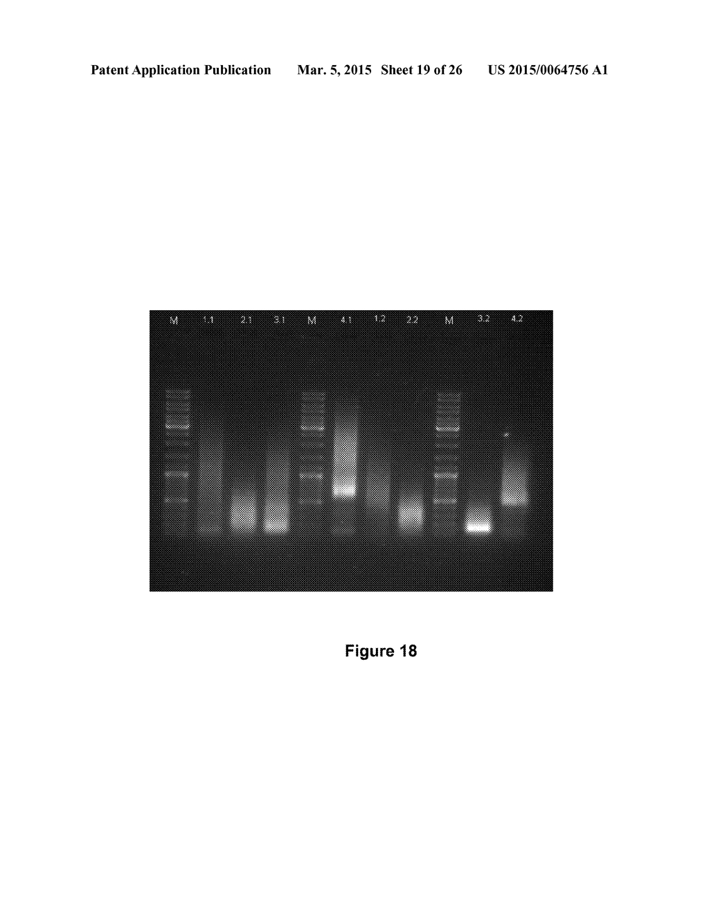 ENZYMATIC ALKENE CLEAVAGE - diagram, schematic, and image 20