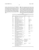 MODIFIED MICROORGANISM AND METHODS OF USING SAME FOR PRODUCING 2-PROPANOL     AND1-PROPANOL AND/OR 1,2-PROPANEDIOL diagram and image