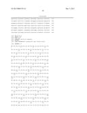 MODIFIED MICROORGANISM AND METHODS OF USING SAME FOR PRODUCING 2-PROPANOL     AND1-PROPANOL AND/OR 1,2-PROPANEDIOL diagram and image