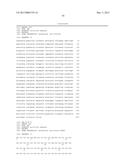 MODIFIED MICROORGANISM AND METHODS OF USING SAME FOR PRODUCING 2-PROPANOL     AND1-PROPANOL AND/OR 1,2-PROPANEDIOL diagram and image