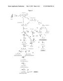 MODIFIED MICROORGANISM AND METHODS OF USING SAME FOR PRODUCING BUTADIENE     AND 1-PROPANOL AND/OR 1,2-PROPANEDIOL diagram and image