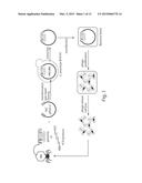 TUNING BACTERIOPHAGE HOST RANGE diagram and image