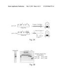 TUNING BACTERIOPHAGE HOST RANGE diagram and image